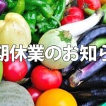 夏期休業のお知らせ