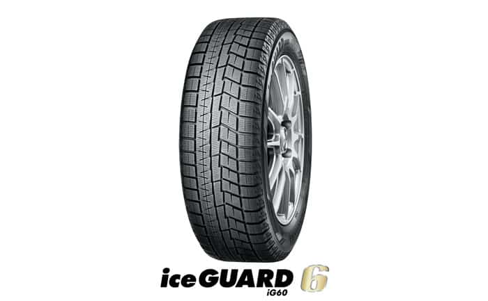 ice GUARD6