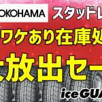 アイスガード６数量限定特別価格