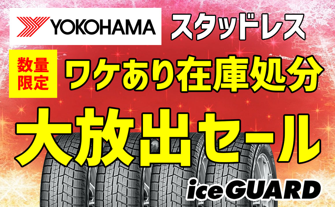 アイスガード６数量限定特別価格