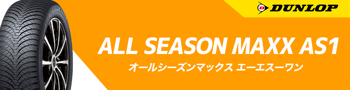 ダンロップ ALL SEASON MAXX AS1